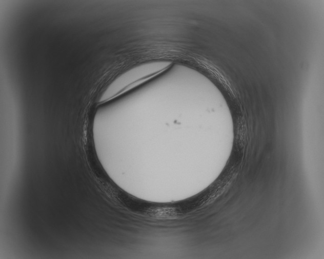 X0000100230501200806201447