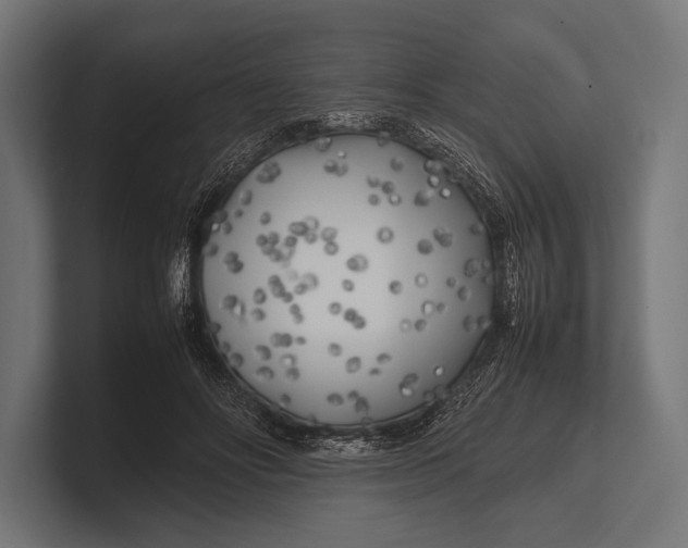 X0000100230502200806201447