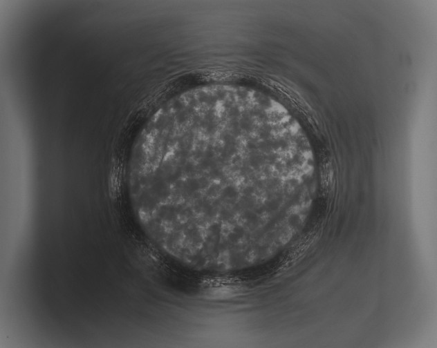 X0000100230503200806201447