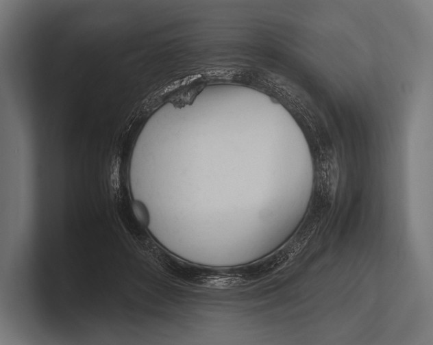 X0000100230504200806201447