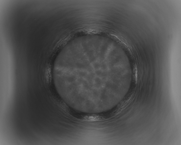 X0000100230506200806201447