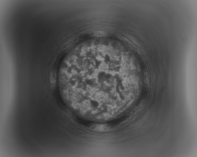 X0000100230507200806201447