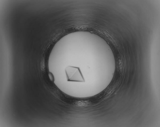 X0000100230508200806201447