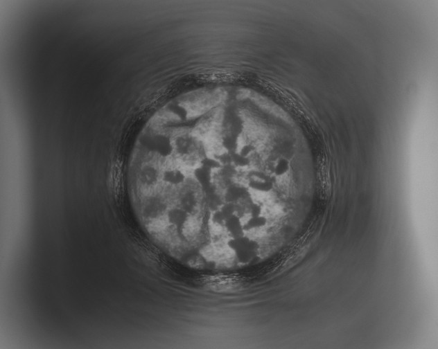 X0000100230511200806201447