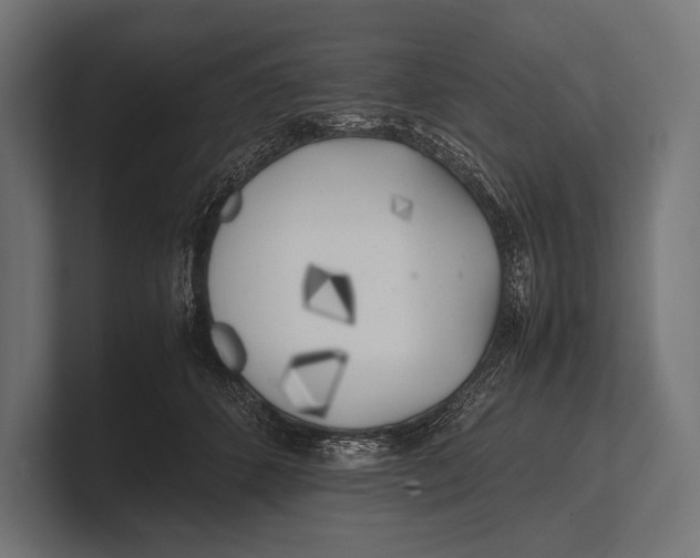 X0000100230512200806201446