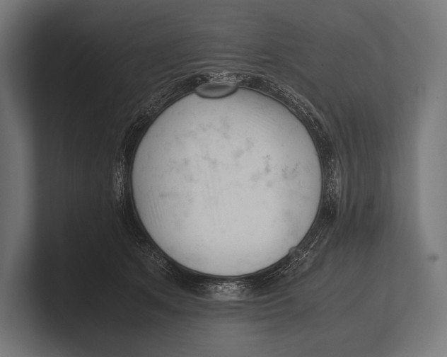 X0000100230513200806201446