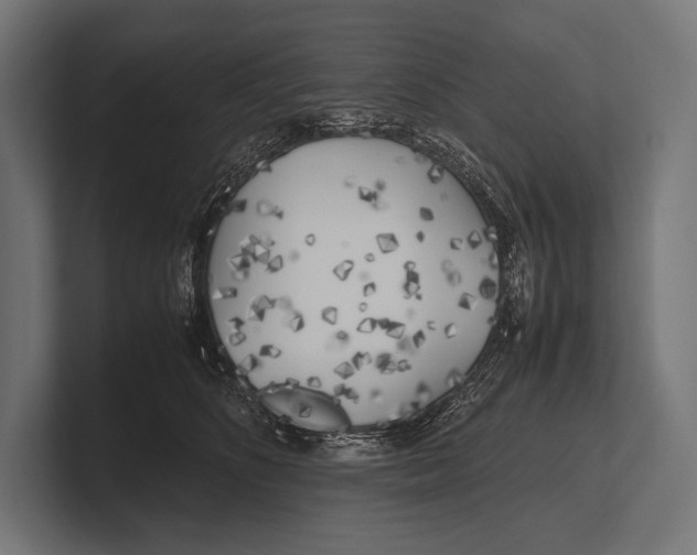 X0000100230516200806201446