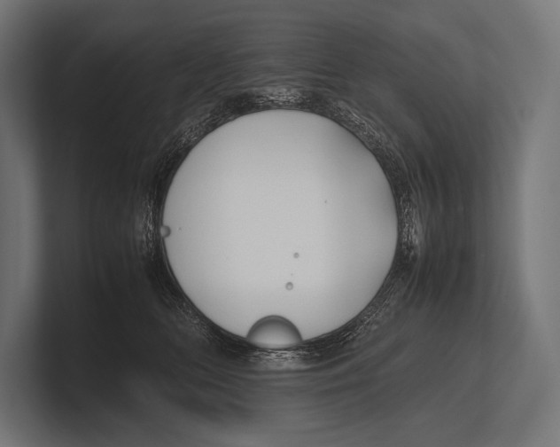 X0000100230518200806201446