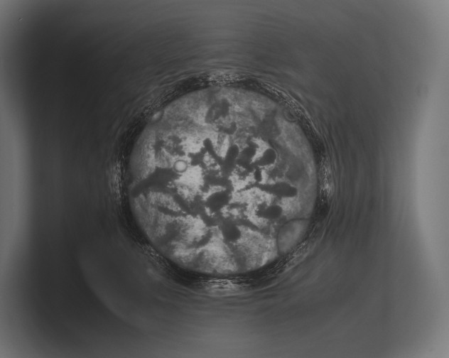 X0000100230519200806201446