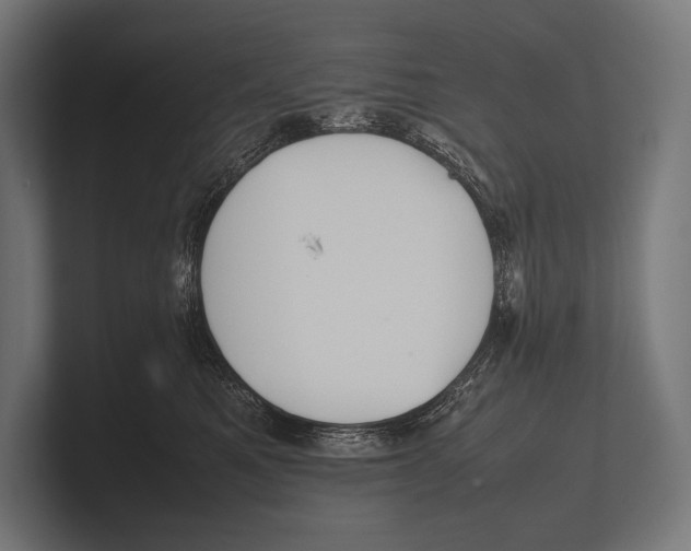 X0000100230521200806201446