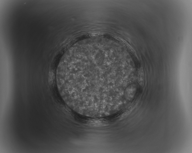 X0000100230523200806201446