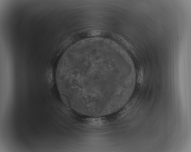 X0000100230524200806201446