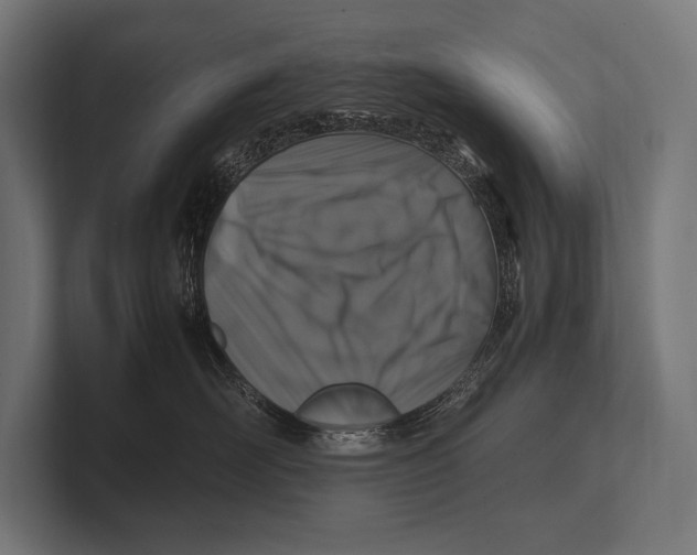 X0000100230526200806201446