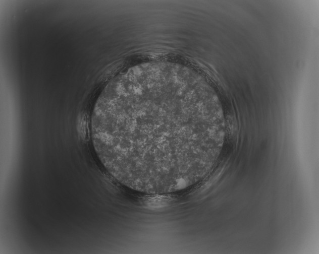 X0000100230527200806201446