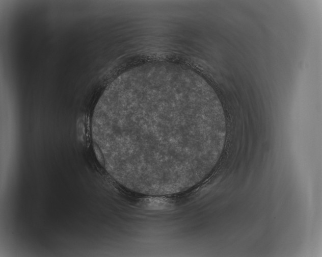 X0000100230528200806201446