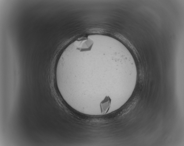 X0000100230529200806201446