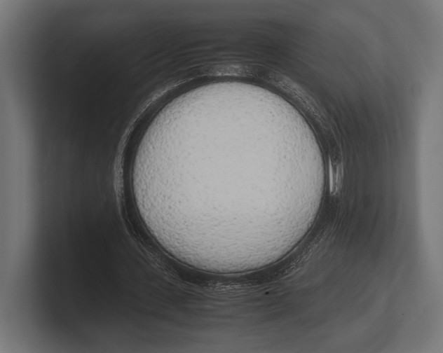 X0000100230531200806201446