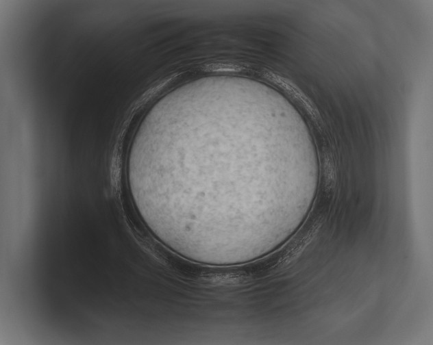 X0000100230533200806201446