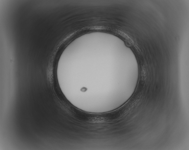 X0000100230535200806201446