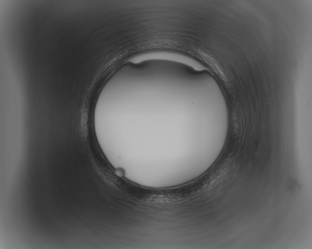 X0000100230538200806201446