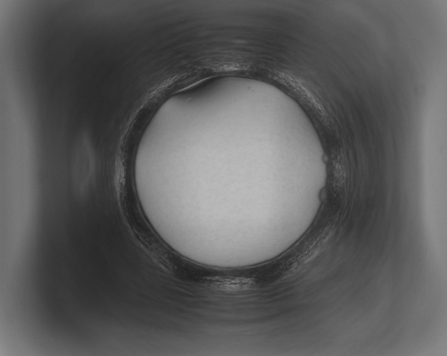 X0000100230539200806201446