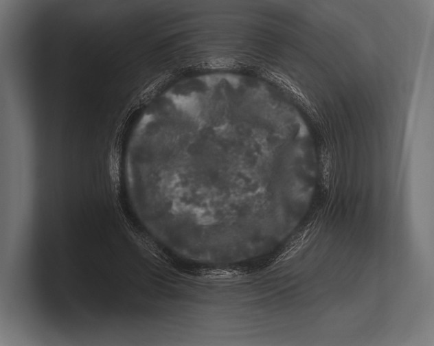 X0000100230542200806201446