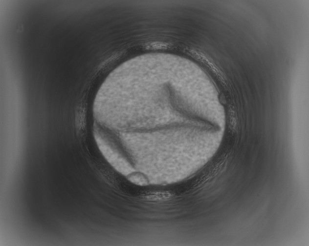 X0000100230543200806201446