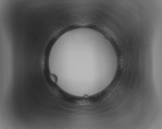 X0000100230544200806201446