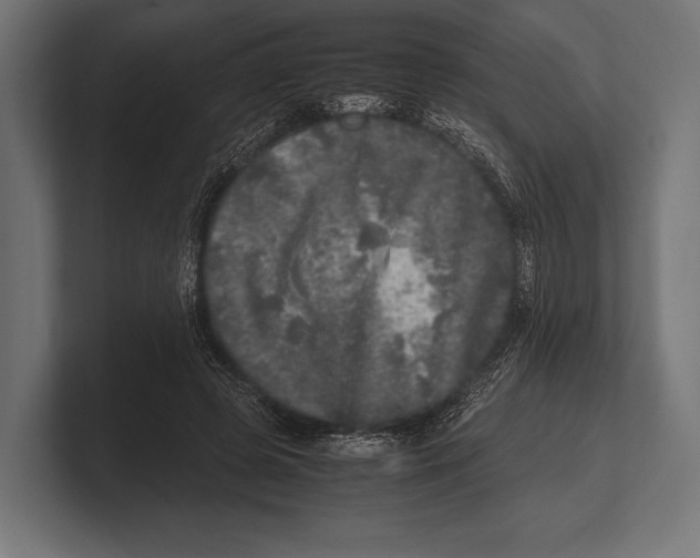 X0000100230545200806201446