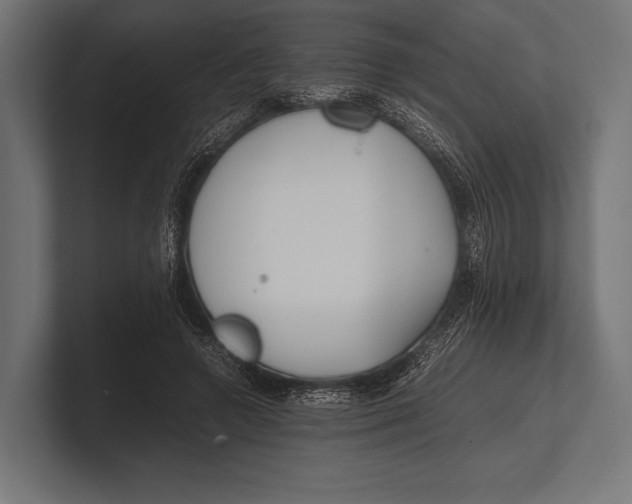 X0000100230546200806201446