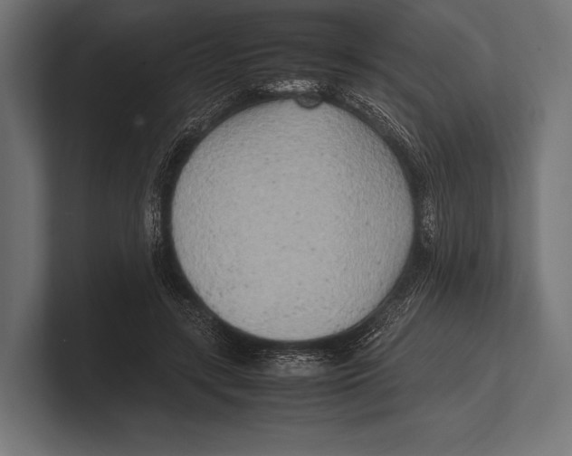 X0000100230547200806201446