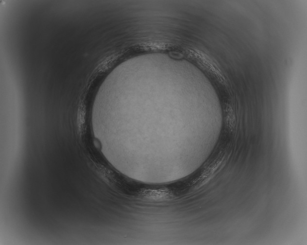 X0000100230548200806201446