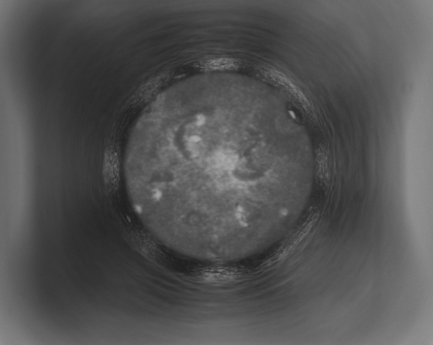 X0000100230549200806201446