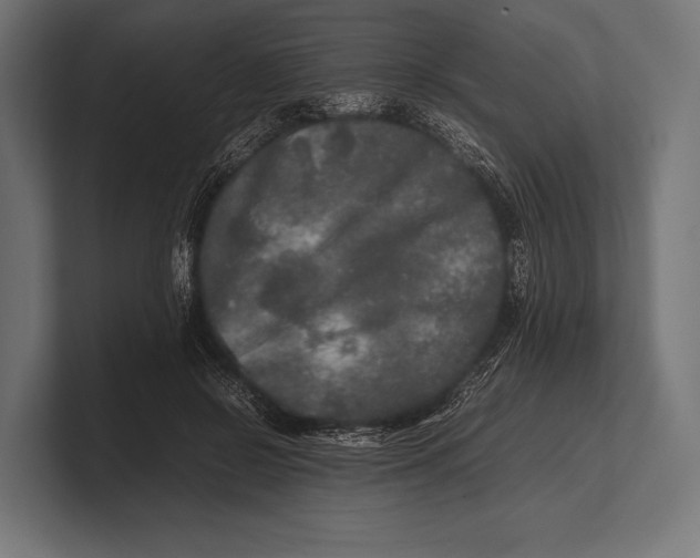 X0000100230550200806201446