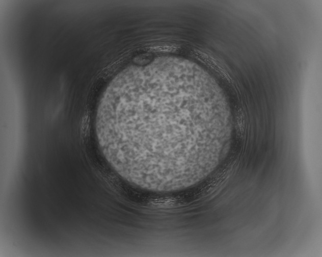 X0000100230551200806201446