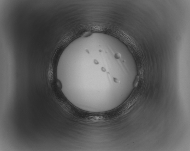 X0000100230552200806201446