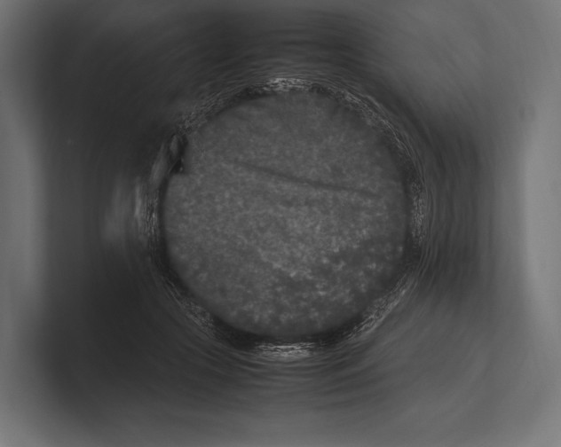 X0000100230553200806201446