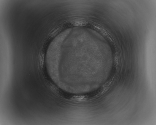 X0000100230554200806201446