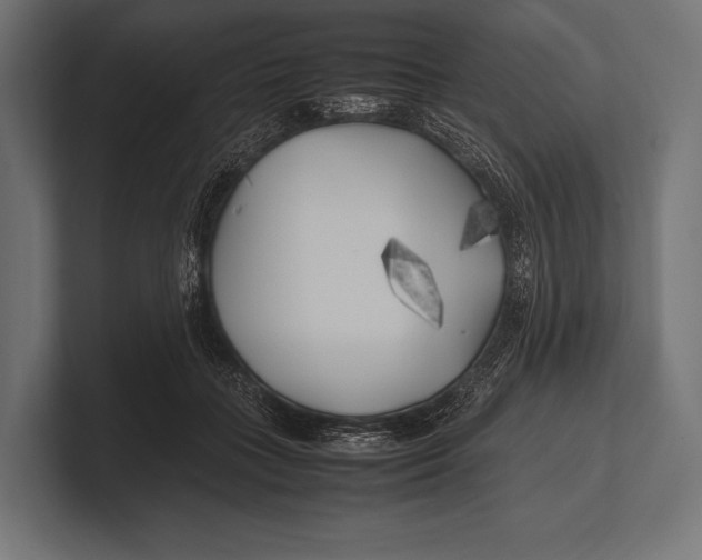 X0000100230555200806201446