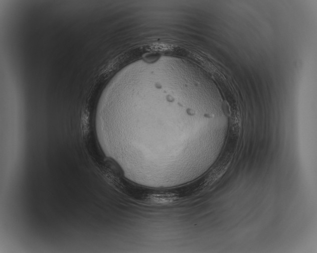 X0000100230556200806201446