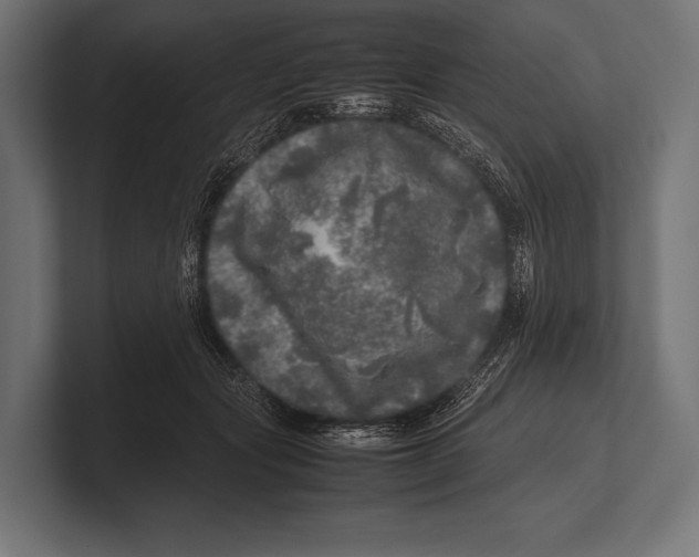 X0000100230557200806201446