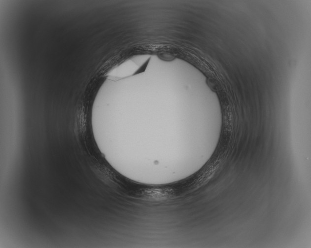 X0000100230558200806201446