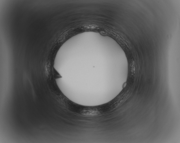 X0000100230559200806201446