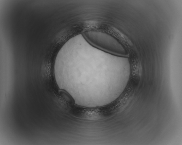 X0000100230560200806201446