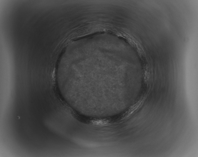 X0000100230561200806201446