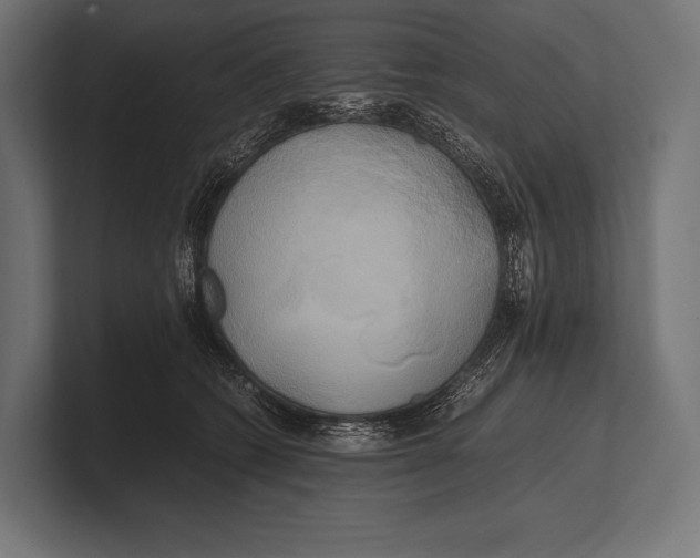 X0000100230562200806201446