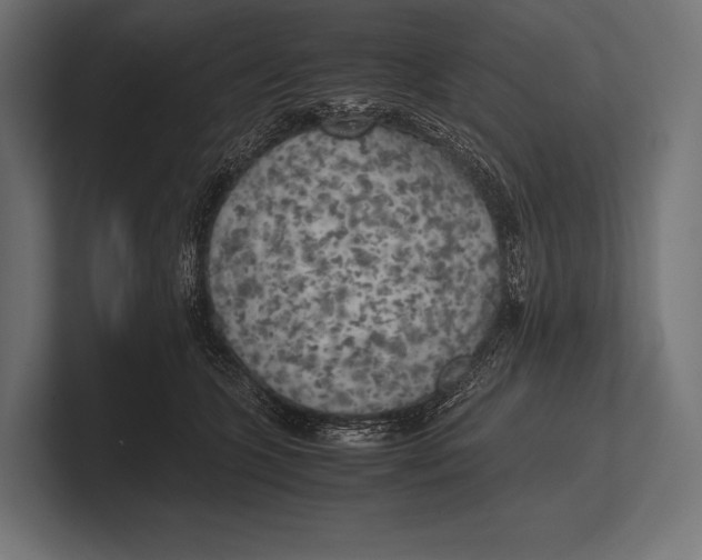 X0000100230563200806201446