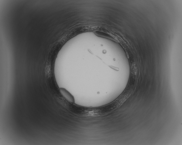 X0000100230564200806201446