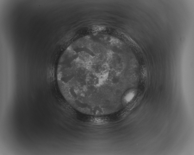 X0000100230565200806201446