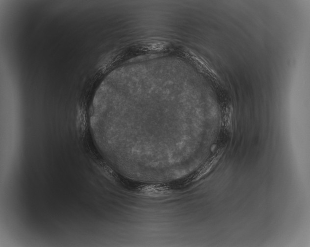 X0000100230568200806201446